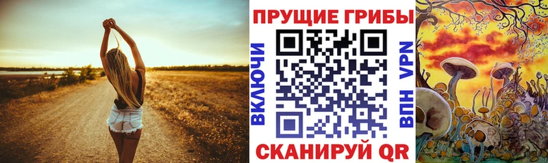 мега зеркало Перевоз Галлюциногенные грибы MAGIC MUSHROOMS